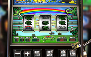 Lucky Shamrock